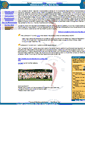Mobile Screenshot of longevitystick.com